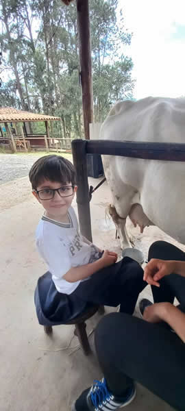 Bicho Mania 2022